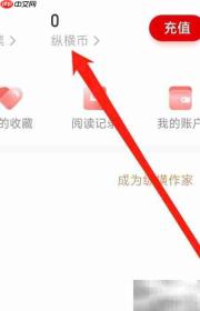 纵横币查看指南