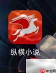 纵横币查看指南