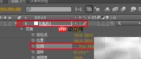 AE制作动态名片教程