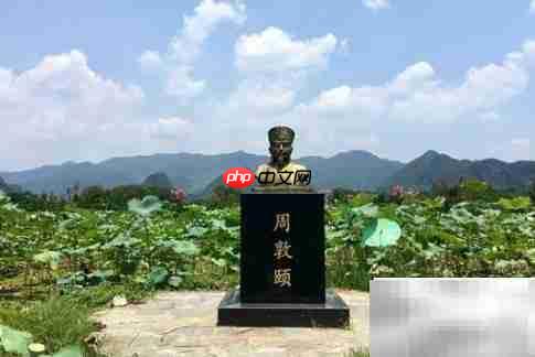 委字在乃委手版归中的含义解析