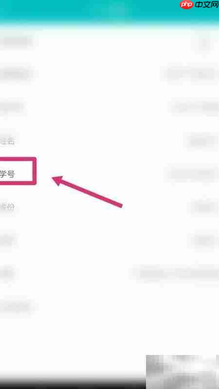 如何查看学号?一文读懂