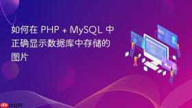 如何在 PHP + MySQL 中正确显示数据库中存储的图片