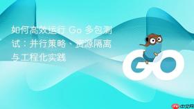 如何高效运行 Go 多包测试：并行策略、资源隔离与工程化实践
