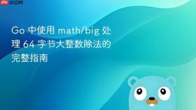 Go 中使用 math/big 处理 64 字节大整数除法的完整指南
