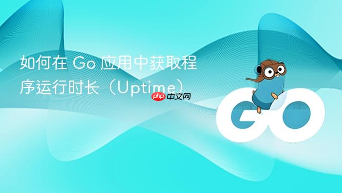 如何在 Go 应用中获取程序运行时长(Uptime)