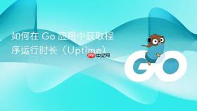 如何在 Go 应用中获取程序运行时长(Uptime)