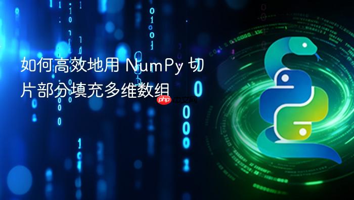 如何高效地用 NumPy 切片部分填充多维数组