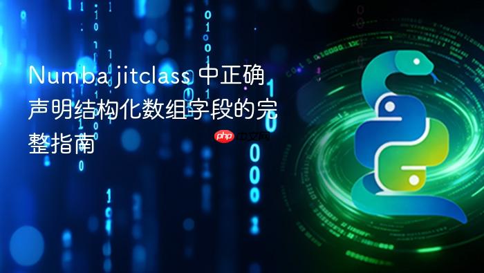 Numba jitclass 中正确声明结构化数组字段的完整指南