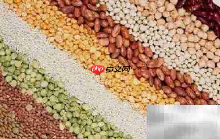 中年健康饮食指南