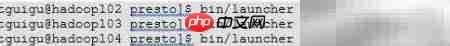 Presto服务器安装指南