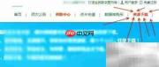 会计论文免费下载方法