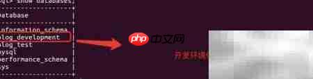 Rails迁移入门