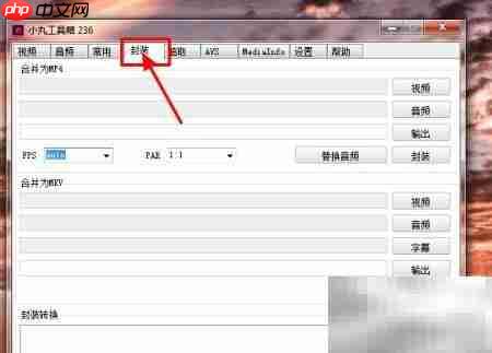 小丸工具箱无损转MP4技巧