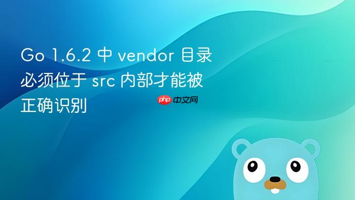 Go 1.6.2 中 vendor 目录必须位于 src 内部才能被正确识别