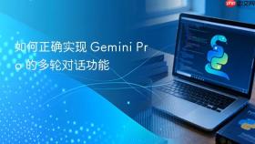 如何正确实现 Gemini Pro 的多轮对话功能
