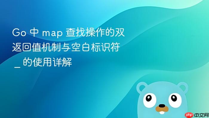 Go 中 map 查找操作的双返回值机制与空白标识符 _ 的使用详解