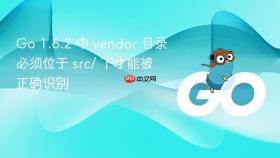 Go 1.6.2 中 vendor 目录必须位于 src/ 下才能被正确识别
