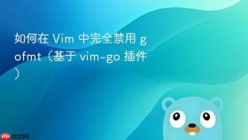 如何在 Vim 中完全禁用 gofmt(基于 vim-go 插件)