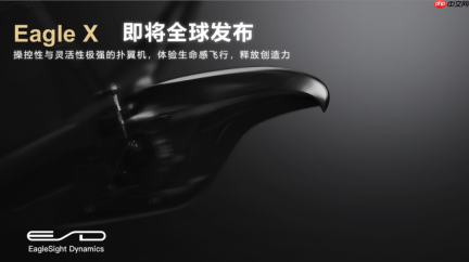 36氪首发 | 三个月融三轮，上交大00后博士让具身智能仿生扑翼机器人理解并驾驭流体