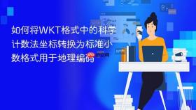 如何将WKT格式中的科学计数法坐标转换为标准小数格式用于地理编码