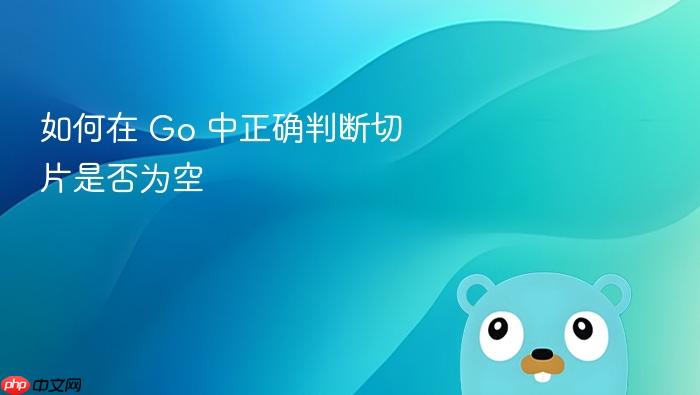 如何在 Go 中正确判断切片是否为空
