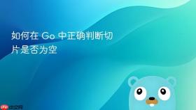 如何在 Go 中正确判断切片是否为空
