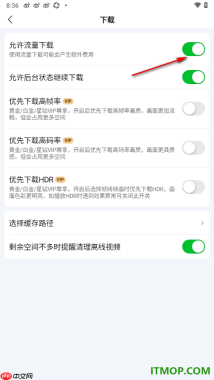 爱奇艺手机版设置允许流量下载的方法