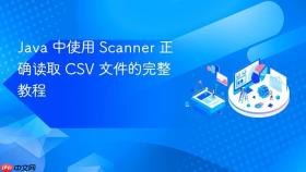 Java 中使用 Scanner 正确读取 CSV 文件的完整教程