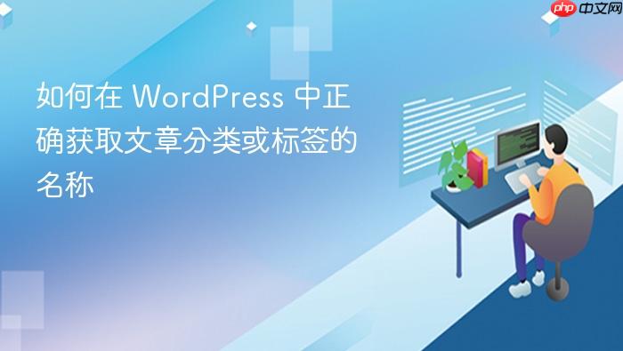 如何在 WordPress 中正确获取文章分类或标签的名称