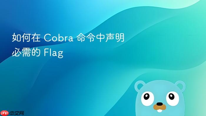 如何在 Cobra 命令中声明必需的 Flag