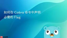 如何在 Cobra 命令中声明必需的 Flag