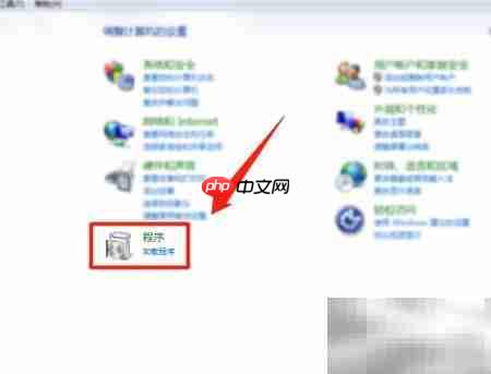 SAP Crystal Reports运行时卸载方法