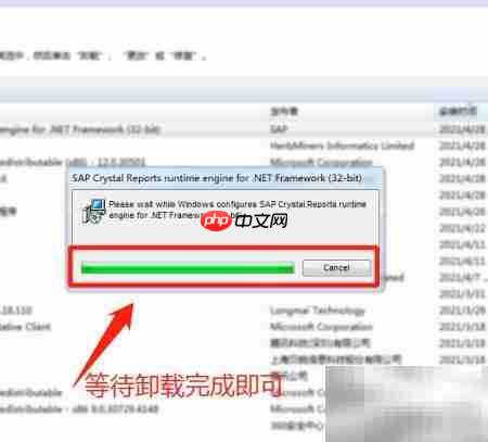 SAP Crystal Reports运行时卸载方法