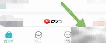 青云网聘简介查看指南