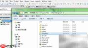 DXP生成WPS模板BILL文件