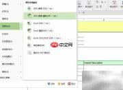 DXP生成WPS模板BILL文件