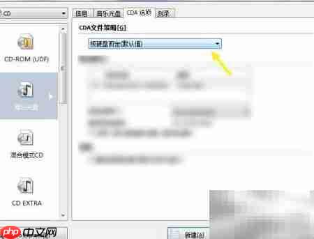 Nero Burning CDA策略设置技巧