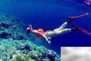 三亚潜水旅游必看攻略