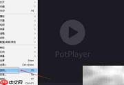 PotPlayer设置AC3为TrueHD