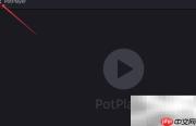 PotPlayer设置AC3为TrueHD