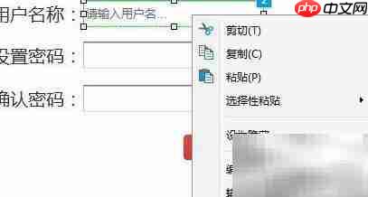 Axure文本框重置教程