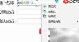 Axure文本框重置教程
