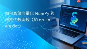 如何高效向量化 NumPy 的线性代数函数(如 np.linalg.det)