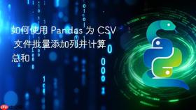 如何使用 Pandas 为 CSV 文件批量添加列并计算总和