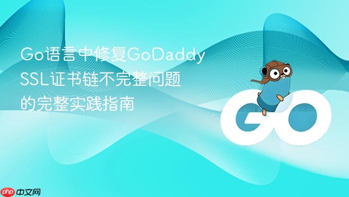 Go语言中修复GoDaddy SSL证书链不完整问题的完整实践指南