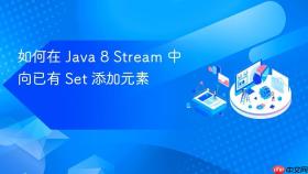 如何在 Java 8 Stream 中向已有 Set 添加元素