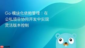 Go 模块化依赖管理:在公私项目协同开发中实现灵活版本控制