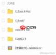 Cubase5如何进行录音
