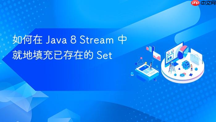如何在 Java 8 Stream 中就地填充已存在的 Set
