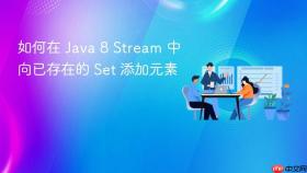 如何在 Java 8 Stream 中向已存在的 Set 添加元素